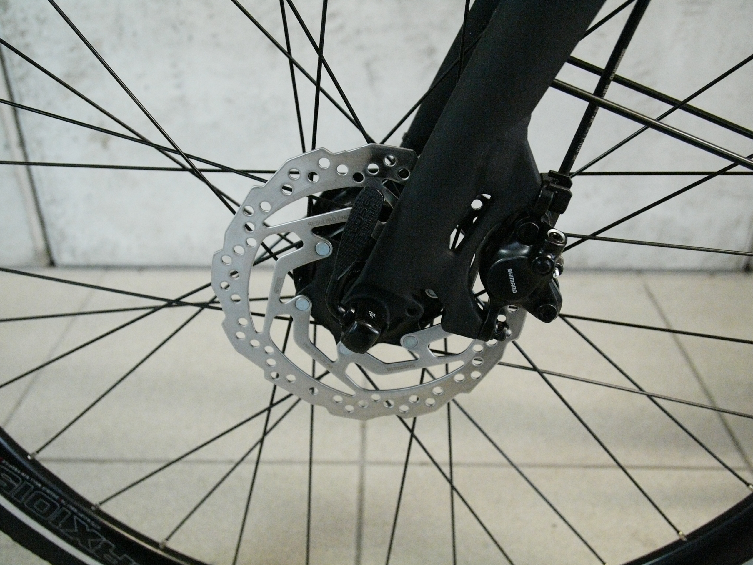 Trecking Urban Bike Gates Riemenantrieb/Shimano Nexus